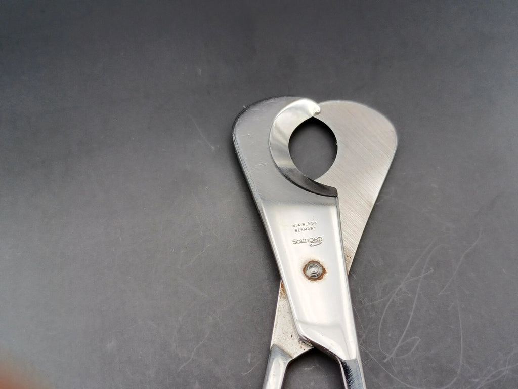 Nice Solingen Scissors Cigar Cutter - Made In Germany - 1580ED02