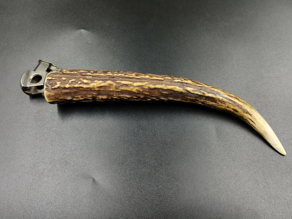 Nice SOLINGEN " Donatus " - Table Cigar Cutter - Horn - 0796CO XL