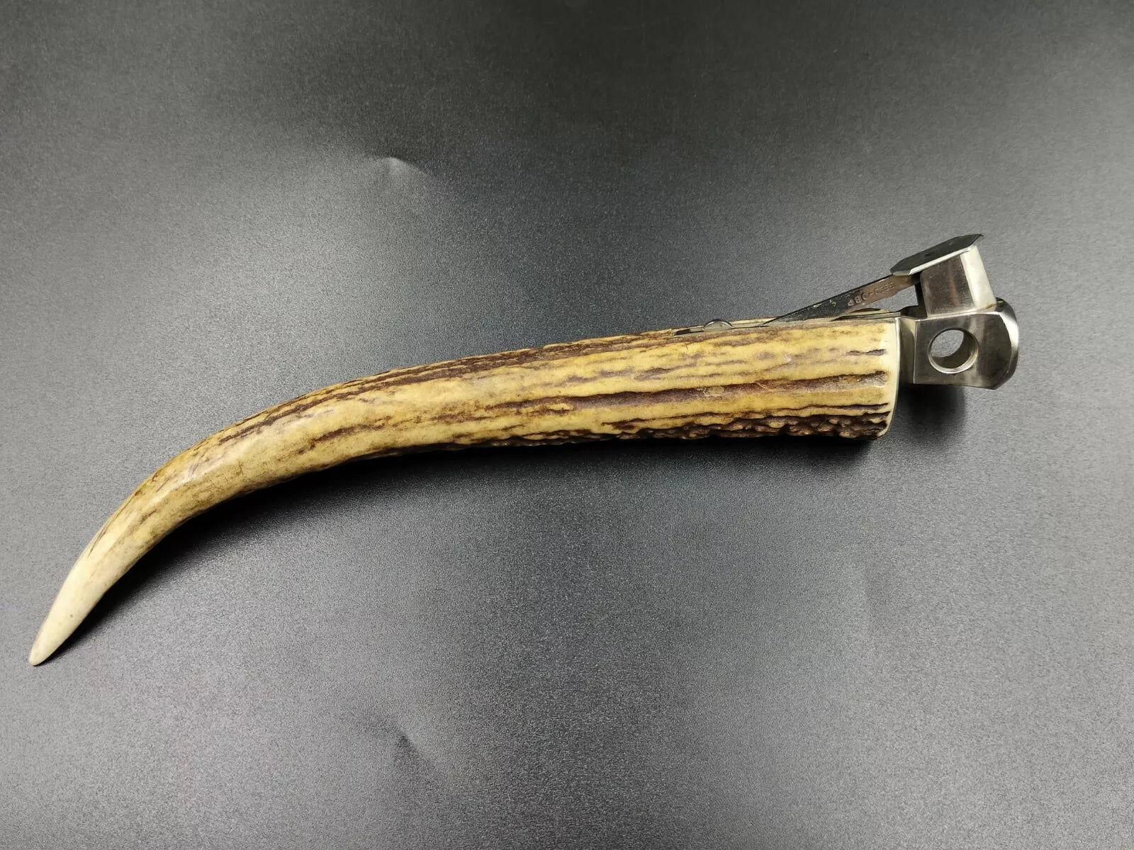 Nice SOLINGEN " Donatus " - Table Cigar Cutter - Horn - 0796CO XL