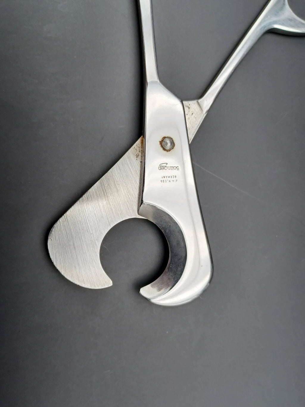 Nice Solingen Scissors Cigar Cutter - Made In Germany - 1580ED02