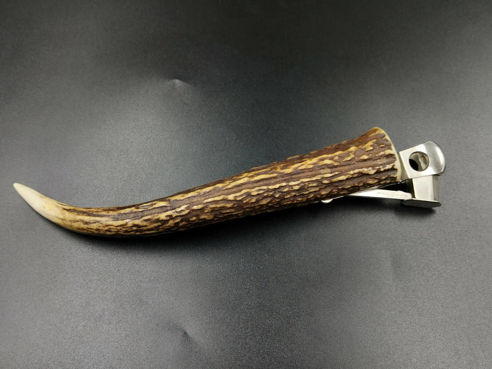 Nice SOLINGEN " Donatus " - Table Cigar Cutter - Horn - 0796CO XL